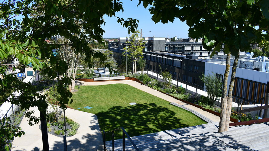 Schwammstadt-Konzepte gegen Starkregen und Trockenheit 250528_Mall_dachgarten-aera-berlin.JPG