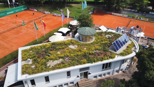 Neues Biodiversitätsdach in Karlsruhe
