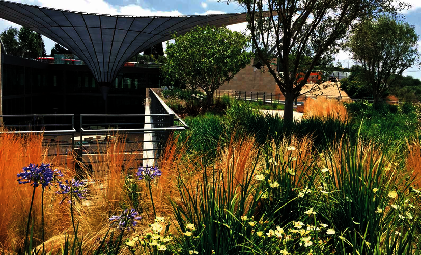 Shlomo_Aronson_Architects_Lt.png Shlomo_Aronson_Architects_Lt.png