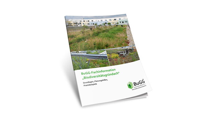 BuGG-Fachinformation_Biodiversitaetsgruendach.jpg