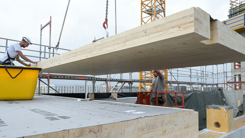 Neue Förderaufrufe für nachhaltigen Holzbau