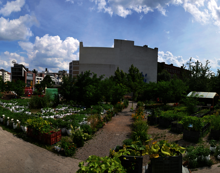 Ein urbaner Nutzgarten in der Größe eines Fußballfeldes: der Prinzessinnengarten in Berlin.