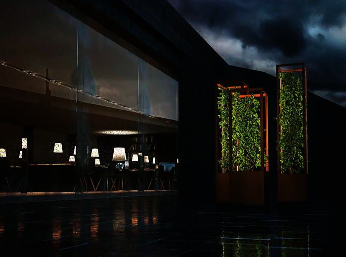 Cube Planted