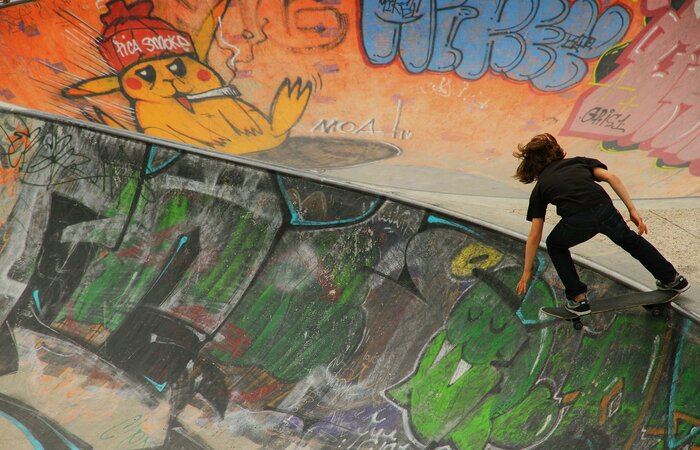 skateboard-447147_1920_dany1624_pixabay.jpg