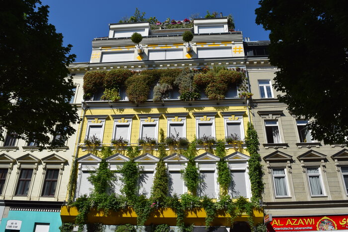BUGG_Fassadenbegruenung-Wien_Abb._1b.JPG