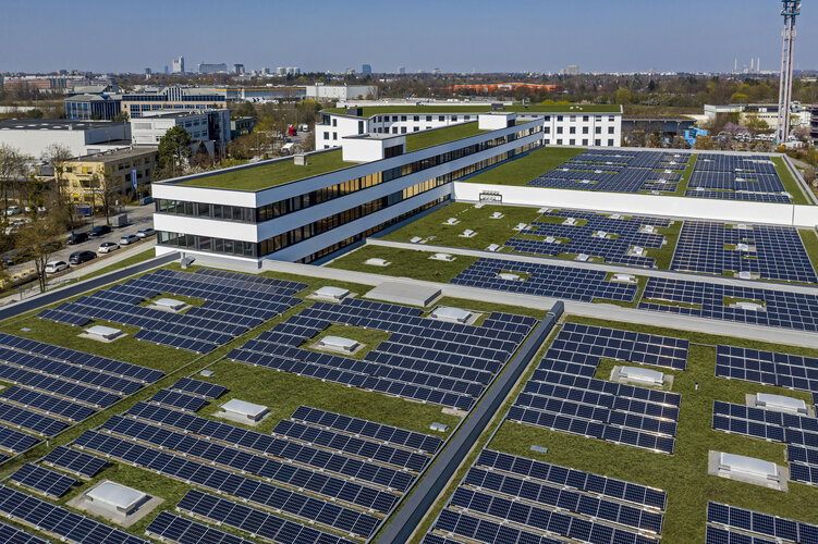 schwaiger_Bild_5.jpg