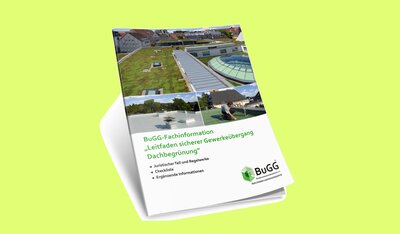 Abb._1.1_BuGG-Gewerkeuebergang_Leitfaden_gruen.jpg