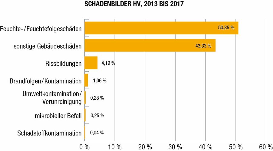 Festgestellte Schadenbilder im Bereich Haftpflichtschäden gemäß VHVDaten, 2013 - 2017