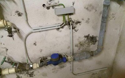 Schimmelbefall im Nutzkeller