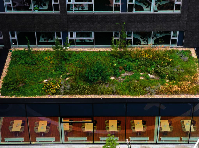 Mit planerischer Finesse und handwerklichem Können lassen sich – die richtigen Systeme vorausgesetzt – nahezu überall grüne Oasen schaffen.