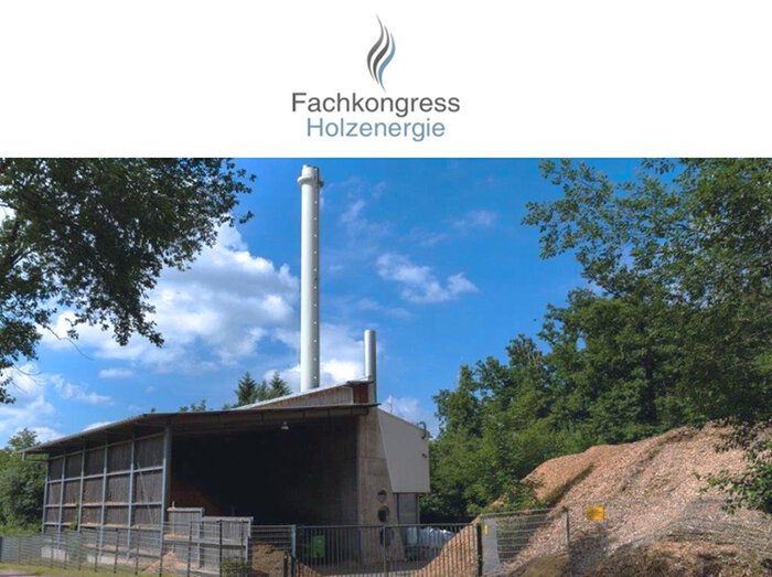 Fachkongress_Holzenergie.jpg