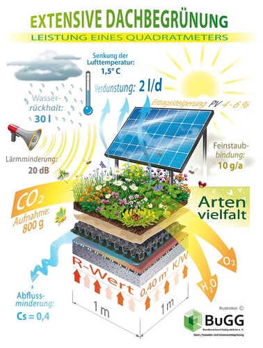 Darstellung als Bild "Leistung eines Quadratmeters Dachbegrünung + Solar"