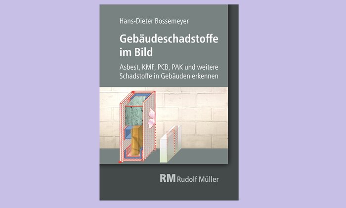 Gebaeudeschadstoffe_im_Bild_mueller.jpg