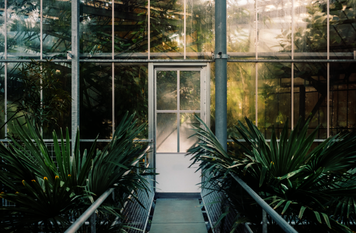 crop_samuel-zeller-168234-unsplash.png