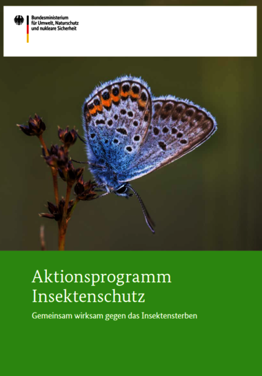 aktionsprogramm_insektenschutz_kabinettversion_deckblatt.png aktionsprogramm_insektenschutz_kabinettversion_deckblatt.png