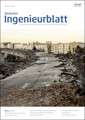 Deutsches Ingenieurblatt 3/2025