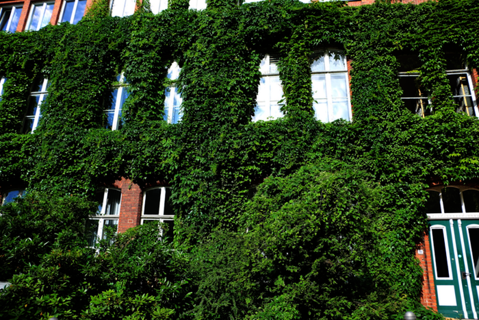 crop_Bianca___Fotolia_211939546_Subscription_Monthly_M.png
