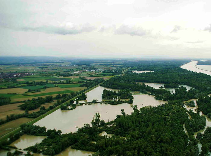 Flutpolder in Altenheim Süd im Juni 2013