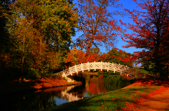 crop_LianeM_Fotolia_27090549_Subscription_Monthly_M.png