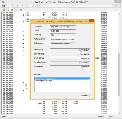 XRechnung_Viewer_MWM_mit_X31.jpg