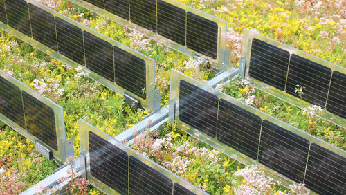 Vertikale Photovoltaik trifft Gründach