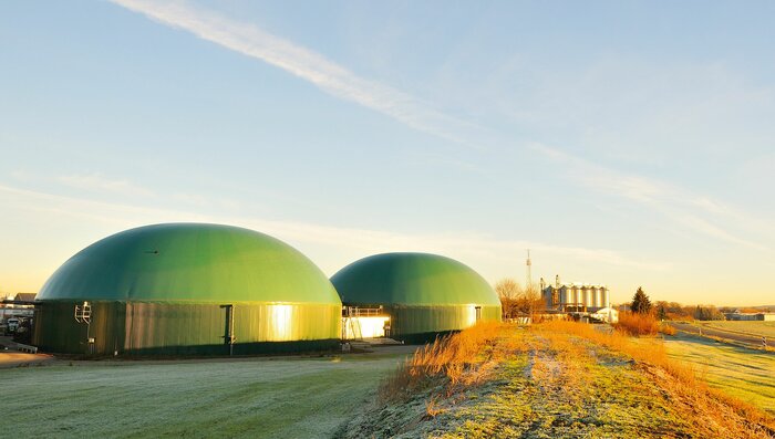 Die wissenschaftliche Erforschung der Ursachen von Holzschäden in Biogasanlagen ist keineswegs abgeschlossen