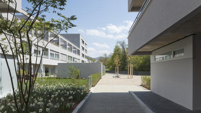 Stadterneuerung trifft auf ökologische Bauweise