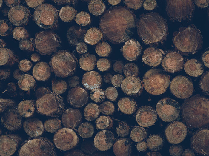 Holz.jpg
