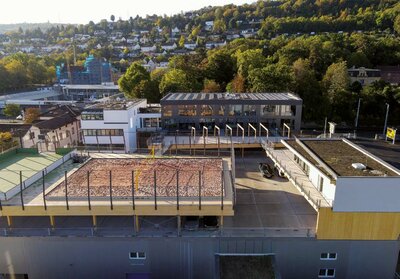 Der Business & Beach Campus auf dem Dach des Lagergebäudes der Sprintis Schenk GmbH & Co. KG, das auch als Parkdeck genutzt wird, umfasst drei aufgeständerte Terrassenflächen: Neben einem öffentlichen Besprechungsraum (rechts im Bild) und einem Chill-Out-Markplatz befindet sich auf der größten der drei „Inseln“ ein Sportcourt für Beachvolleyball, Fußball und Basketball.