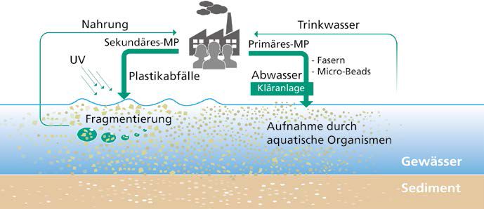 So entsteht Mikroplastik und gelangt in die Umwelt: Die mit steigender Kunststoffproduktion und ungeregelter Entsorgung einhergehende Zunahme von Mikroplastik in der aquatischen Umwelt kann sich zu einem gravierenden Problem für Mensch und Natur entwicke
