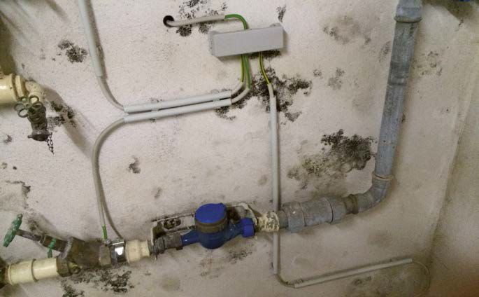 Schimmelbefall im Nutzkeller