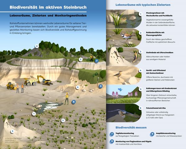 250205_csm_GiBBS_Infografik_IOEW-UM-Leitner-2025_11b876f0ae.jpg