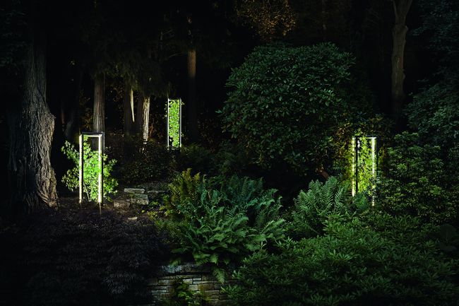 Cube Planted Panorama