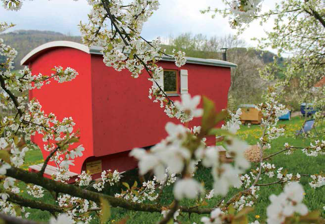 Mitten auf der Streuobstwiese im Naturpark Hessische Rhön können Gäste in diesen Schäfer­wagen eine ganz besondere Übernachtung erleben.