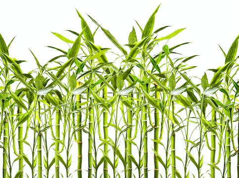 crop_Visions-AD_Fotolia_101158547_Subscription_Monthly_XXL.png