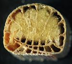 2013_07_044.jpg