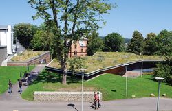 2013_09_038.jpg