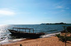 Foto: Styve Reineck/Shutterstock