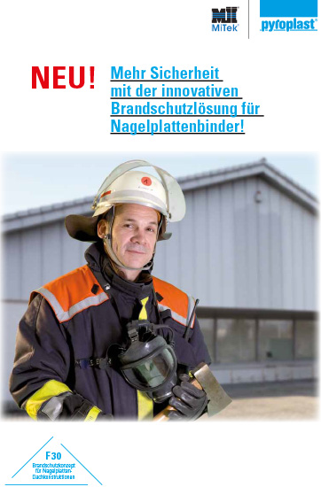 WebInfo_Brandschutz_Nagelplattenbinder-1.jpg