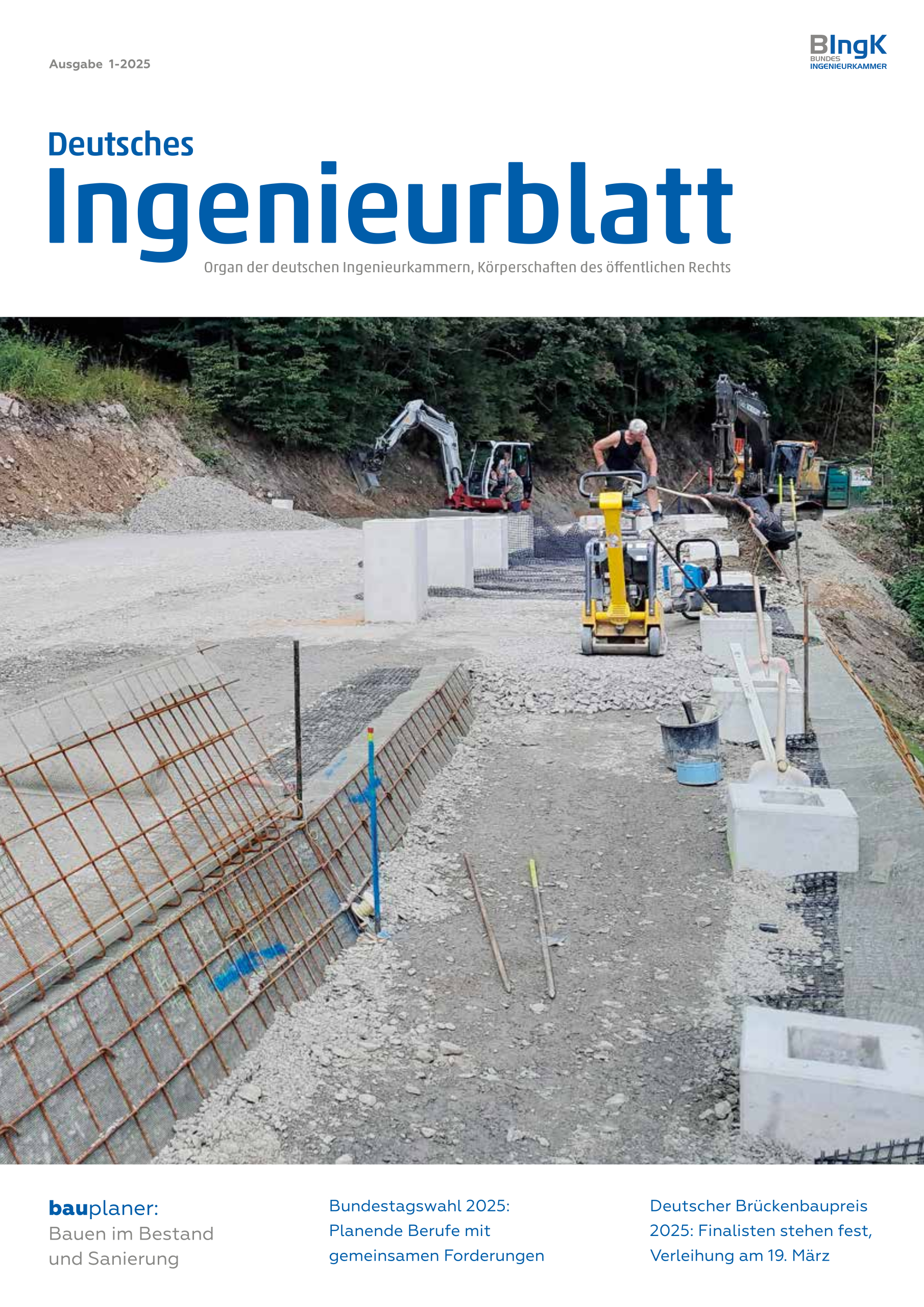Deutsches Ingenieurblatt 1/2025