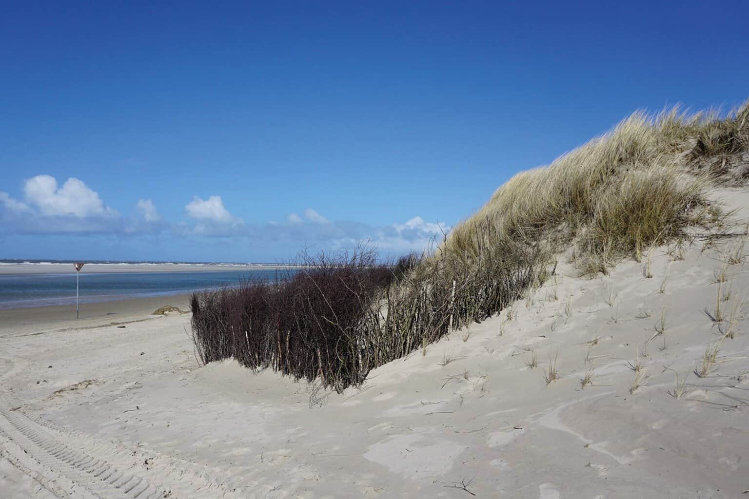 Die Inseln mit ihren Dünen dienen als natürliche Wellenbrecher, hier ein Blick auf den Weststrand auf Spiekeroog. © Oliver Lojek/TU Braunschweig