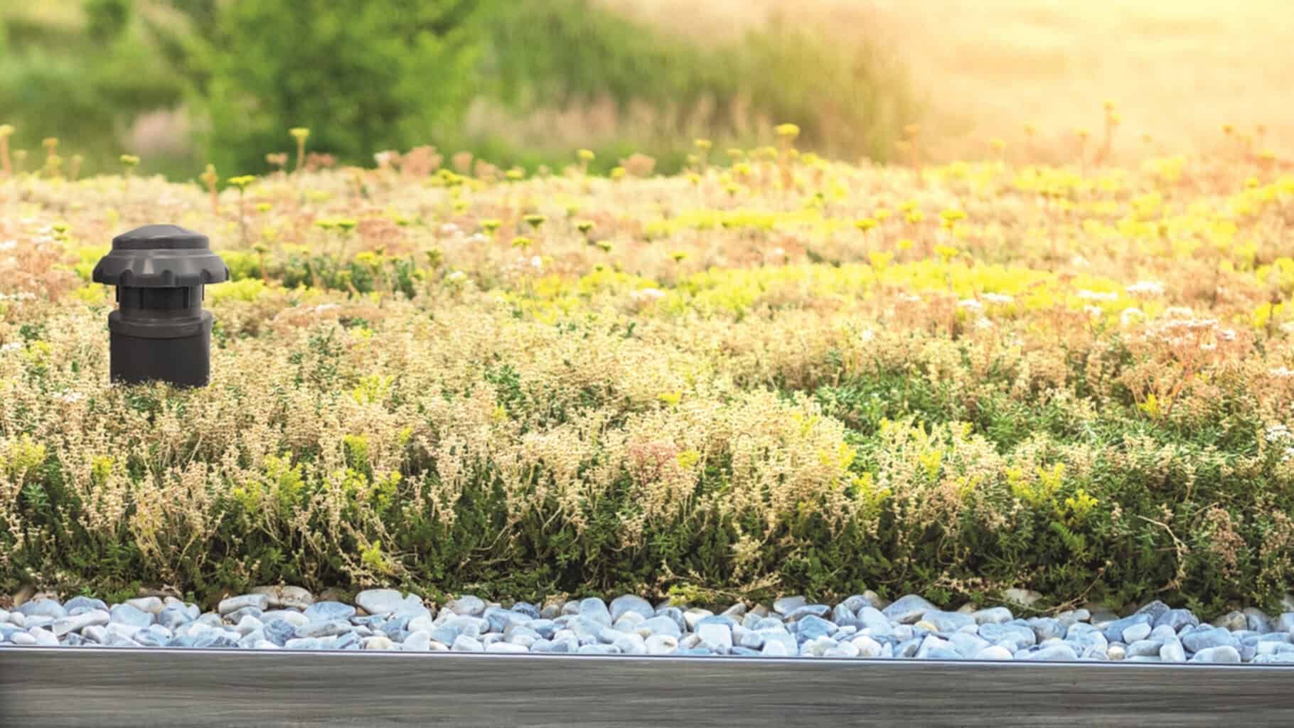 Fleck präsentiert auf der Dach + Holz Lösungen für das Gründach. © Fleck GmbH