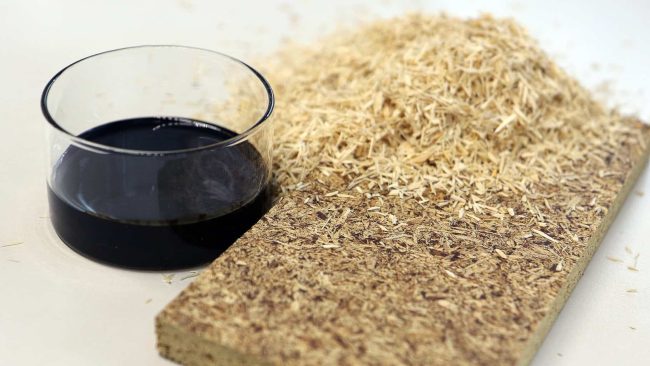 Zutaten für die Spanplatte der Zukunft: Biogenes, formaldehydfreies Lignin-HMF-Kondensationsharz und alternative Holzarten aus klimaresilienten Mischwäldern. © Fraunhofer WKI | Manuela Lingnau