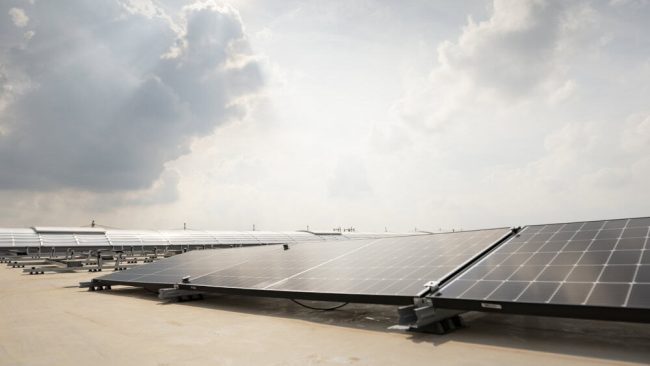 Zur Reduzierung von Emissionen setzt Brüninghoff bereits auf 100 Prozent Strom aus erneuerbaren Quellen. Um den selbst erzeugten Anteil zu erhöhen, sollen außerdem auf den eigenen Flächen Photovoltaik-Anlagen ausgebaut und Speichersysteme installiert werden. © Foto: Brüninghoff