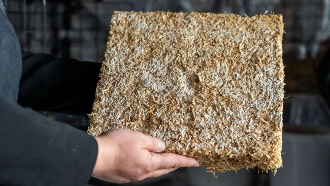 Ein Beispiel für Fassadendämmung auf der Basis von Pilzgeflecht © Hochschule Hof