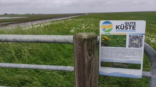 Die Feldstudie fand auf einem Deich in Butjadingen an der niedersächsischen Nordseeküste statt. © LuFI/Jan-Michael Schönebeck