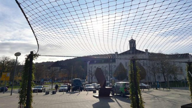 Ein Edelstahlseilnetz bildet die Grundlage des grünen Dachs: An den Maschen können die Pflanzen entlangranken und innerhalb von zwei Jahren zu einer Fläche zusammenwachsen. © optimal Planen GmbH