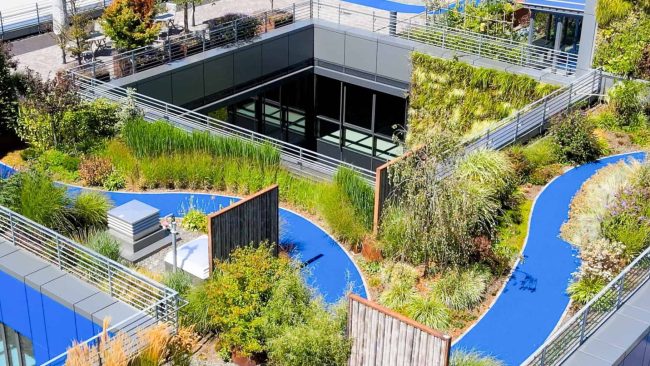 Beim Neubau der Ralf Bohle GmbH in Reichshof-Wehnrath sichert das Foamglas Kompaktdach die Nutzung und Begrünung des Flachdachs langfristig, druckfest, unterlaufsicher und dauerhaft feuchtebeständig ab. © FOAMGLAS