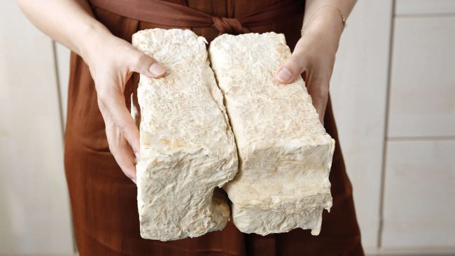 Pilzkompositbaustein © Martin Weinhold