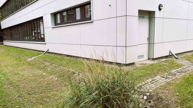 Regenwasser als Ressource: Grünflächen, Mulden und Rigolen helfen, Niederschlagswasser vor Ort zu sammeln, versickern zu lassen und sinnvoll zu nutzen. © Drees & Sommer